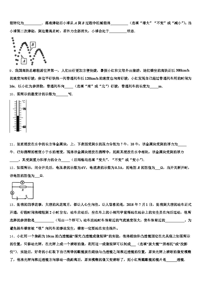 2025-2026学年广东省汕尾市中考二模物理试题（含答案解析）第3页