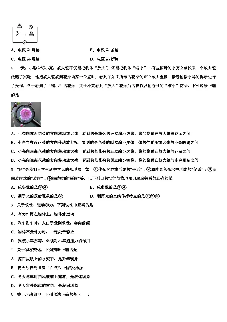 甘肃省甘南藏族自治州2026年中考物理最后一模试卷（含答案解析）第2页