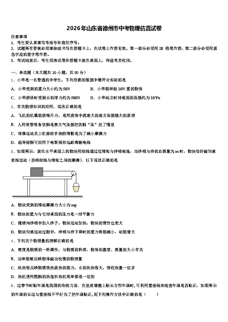2026年山东省德州市中考物理仿真试卷（含答案解析）第1页