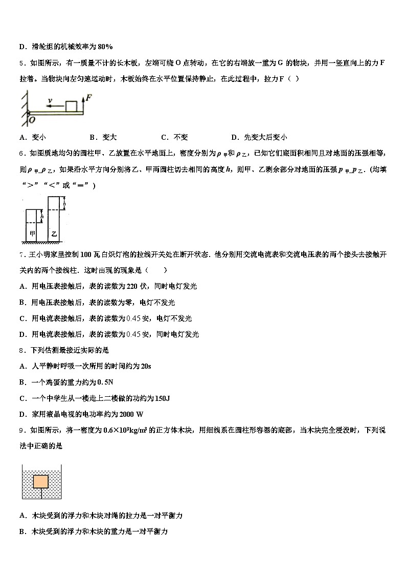 临沂市2026年中考物理最后一模试卷（含答案解析）第2页