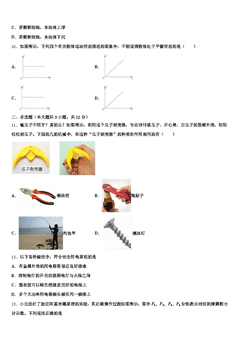 临沂市2026年中考物理最后一模试卷（含答案解析）第3页