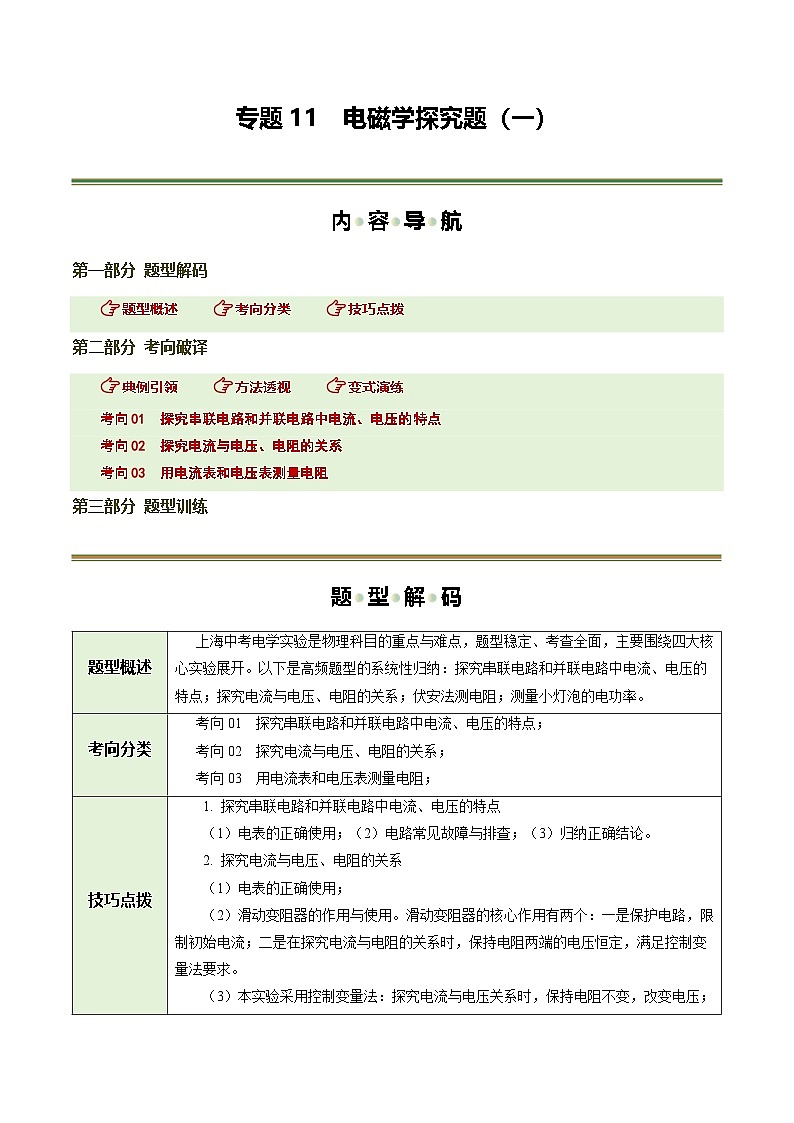 专题11 电磁学探究题（一）（题型专练）（上海专用）（解析版）第1页