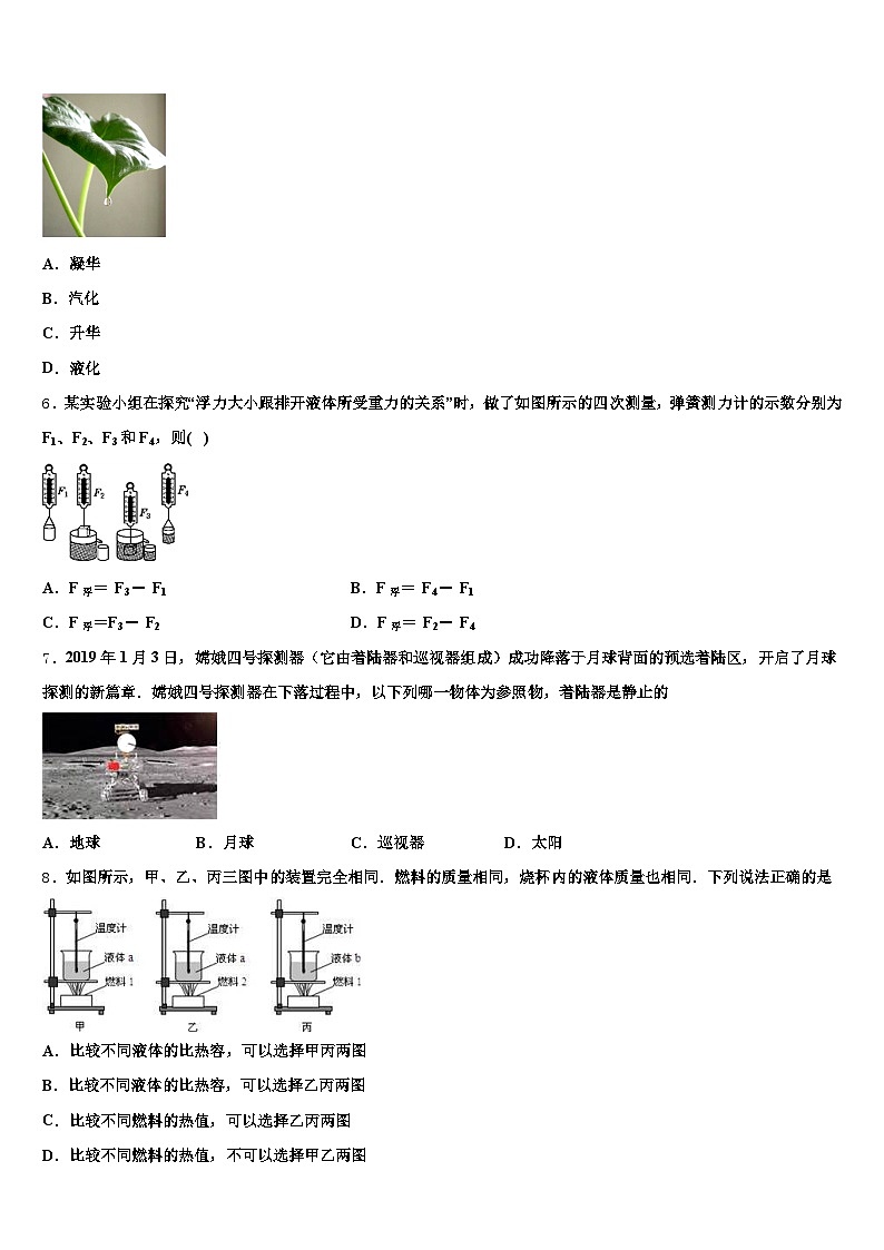 2026年阳江市中考物理模拟精编试卷（含答案解析）第2页
