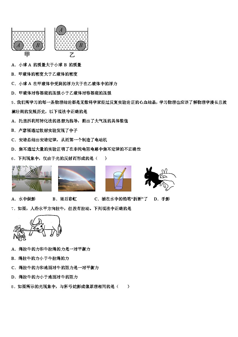 2025-2026学年四川省成都市中考五模物理试题（含答案解析）第2页