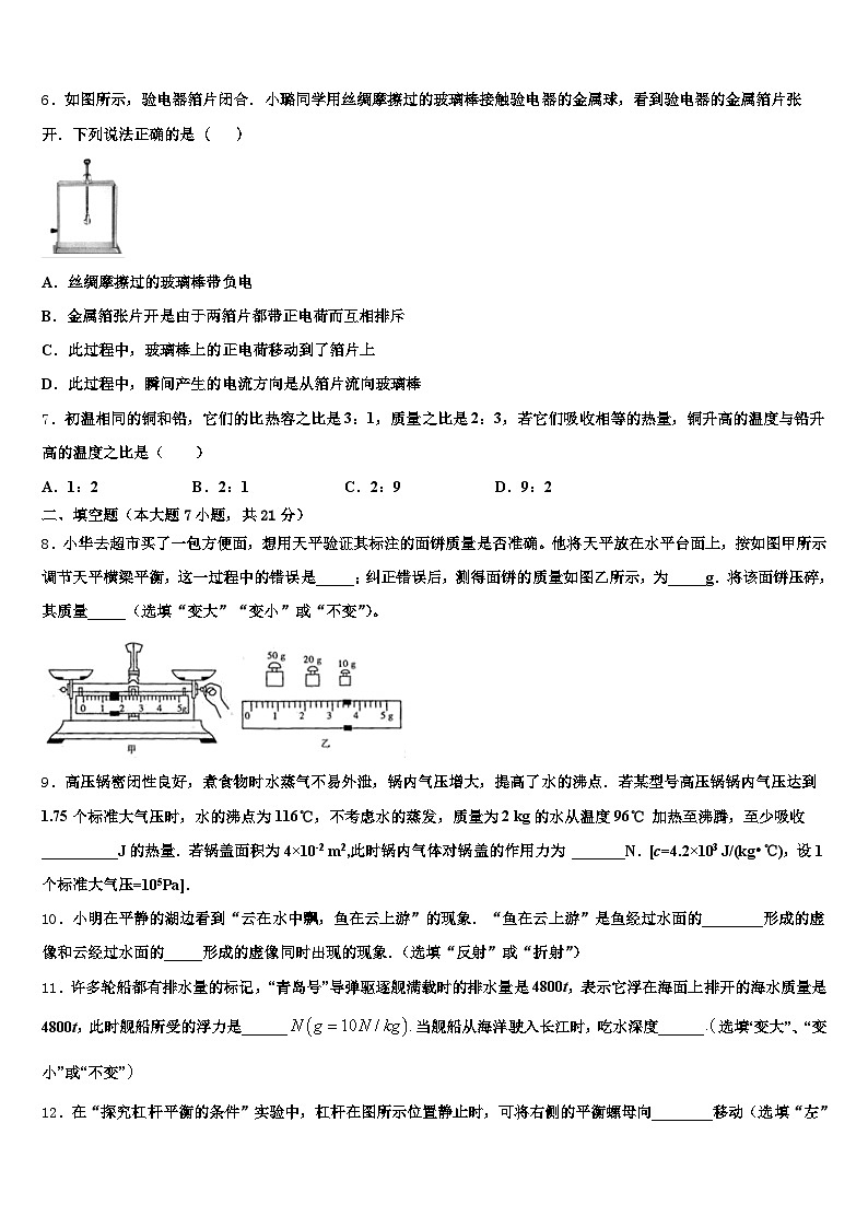 2025-2026学年吉林省辽源市中考物理模拟预测试卷（含答案解析）第2页
