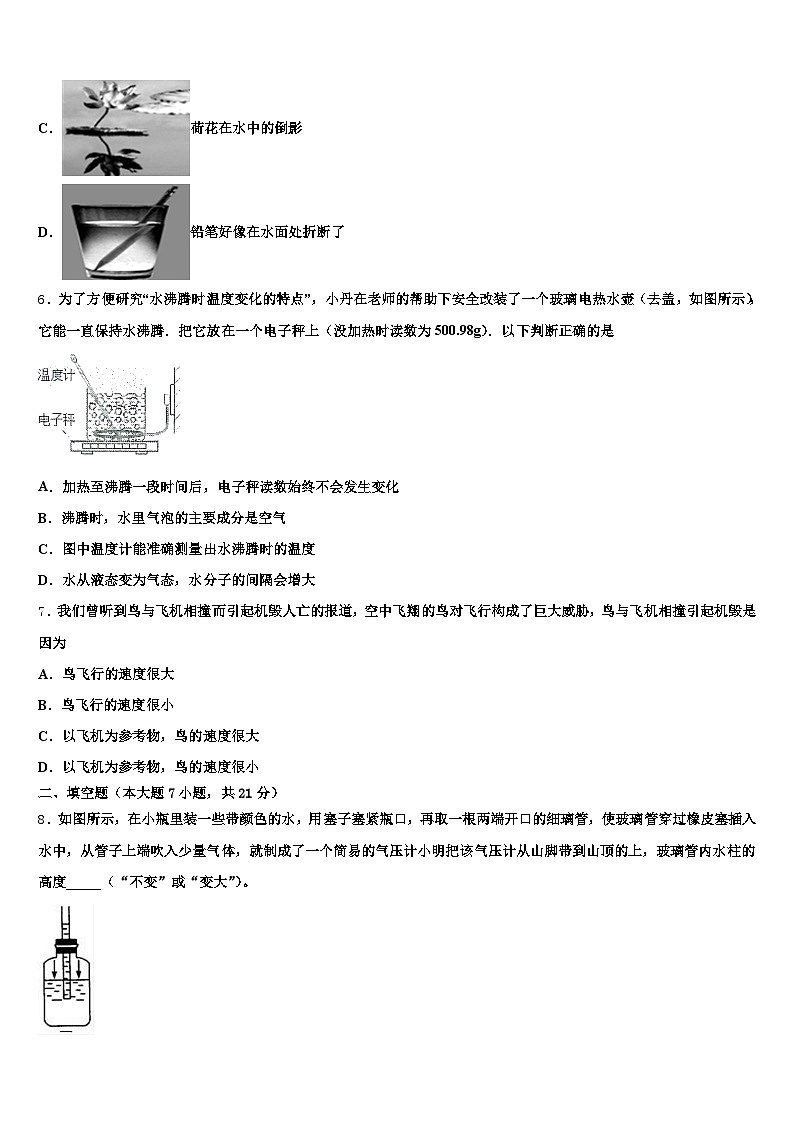 云南省2026年中考物理考前最后一卷（含答案解析）第3页