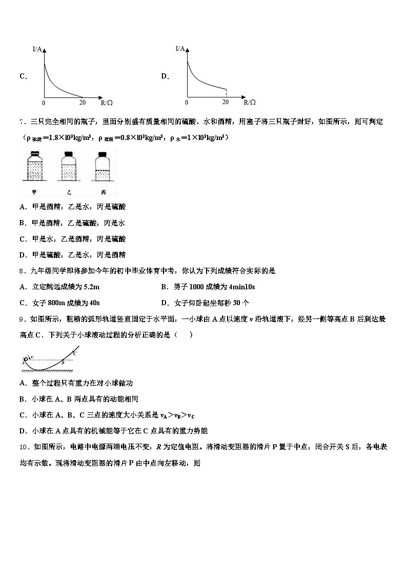 广东省湛江市2025-2026学年中考物理猜题卷（含答案解析）第3页