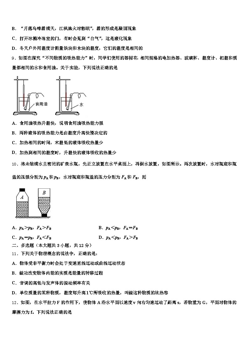 安徽省阜阳市2026年中考物理适应性模拟试题（含答案解析）第3页