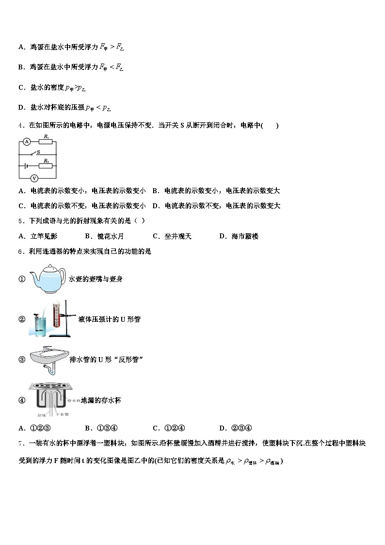 2026年三亚市中考物理仿真试卷（含答案解析）第2页