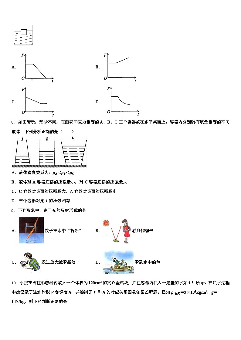 2026年三亚市中考物理仿真试卷（含答案解析）第3页