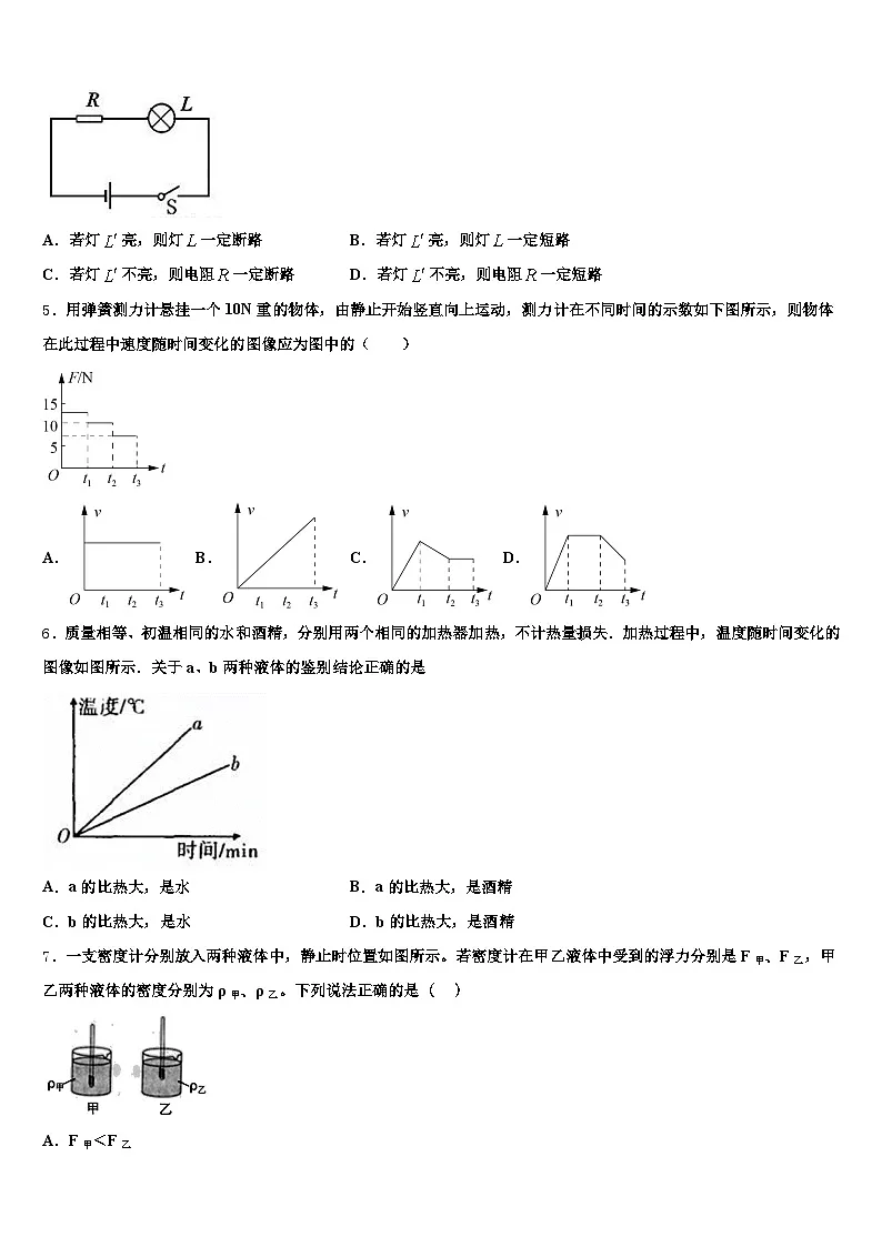 四川省凉山彝族自治州2025-2026学年中考一模物理试题（含答案解析）第2页