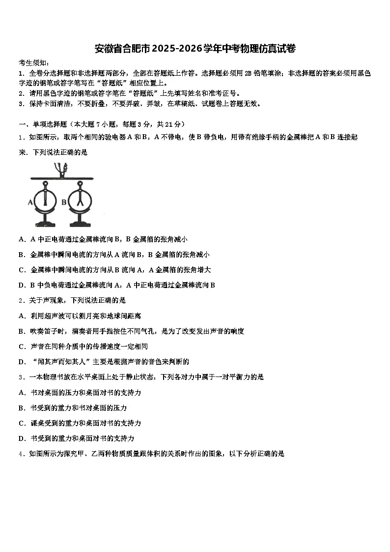 安徽省合肥市2025-2026学年中考物理仿真试卷（含答案解析）第1页