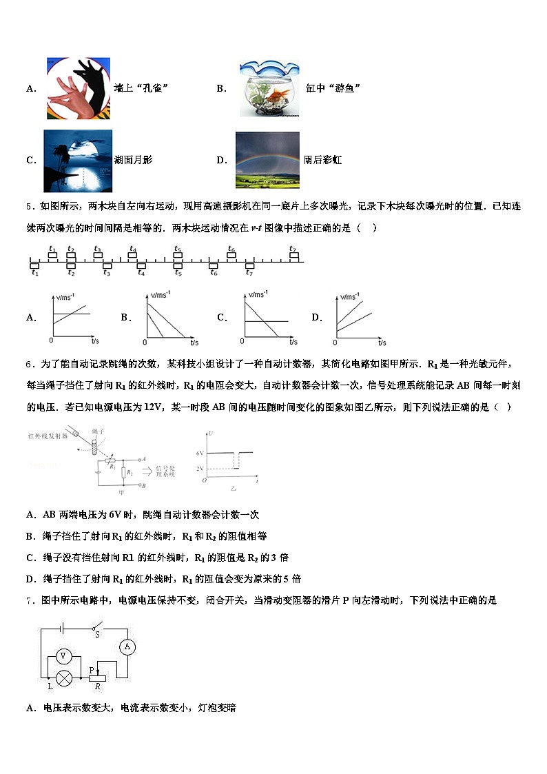 广东省阳江市2025-2026学年中考物理考前最后一卷（含答案解析）第2页