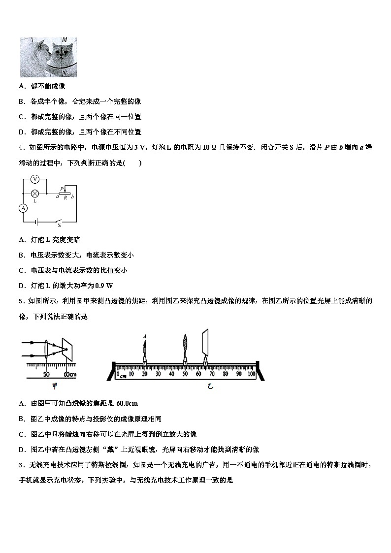 2026届毕节市中考物理猜题卷（含答案解析）第2页