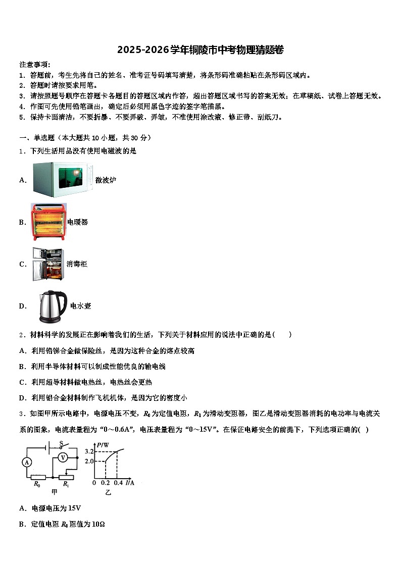 2025-2026学年铜陵市中考物理猜题卷（含答案解析）第1页