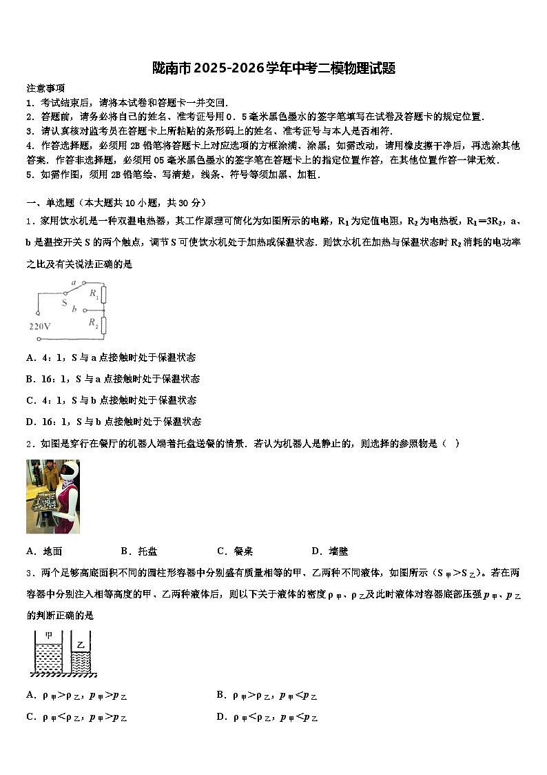 陇南市2025-2026学年中考二模物理试题（含答案解析）第1页