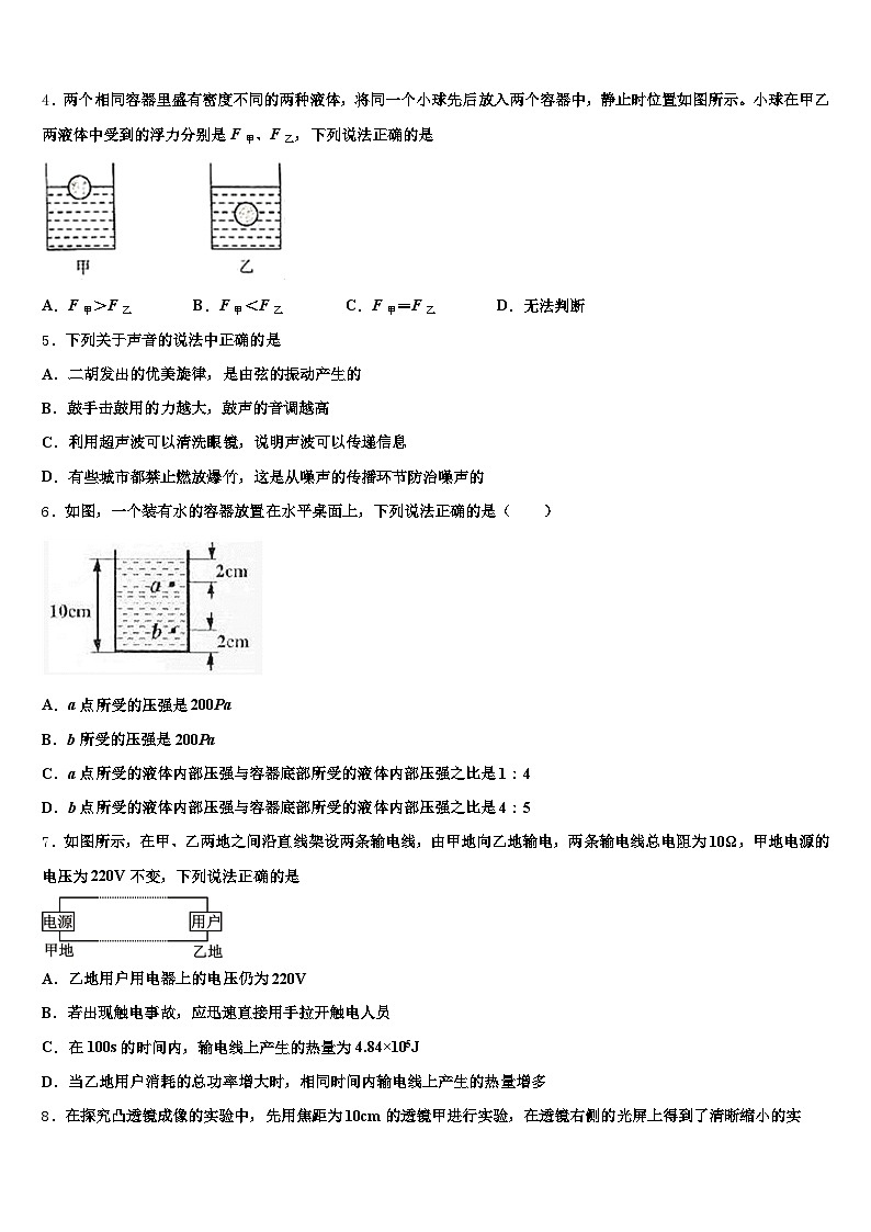 陇南市2025-2026学年中考二模物理试题（含答案解析）第2页