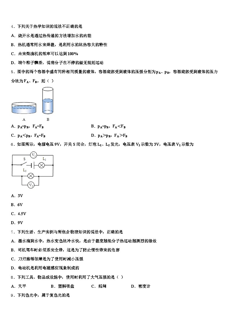2025-2026学年亳州市中考五模物理试题（含答案解析）第2页