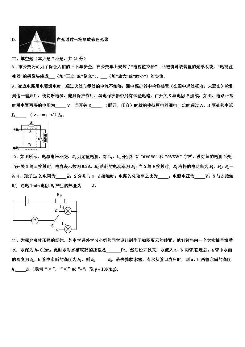 2026届湖北省随州市中考物理考前最后一卷（含答案解析）第3页