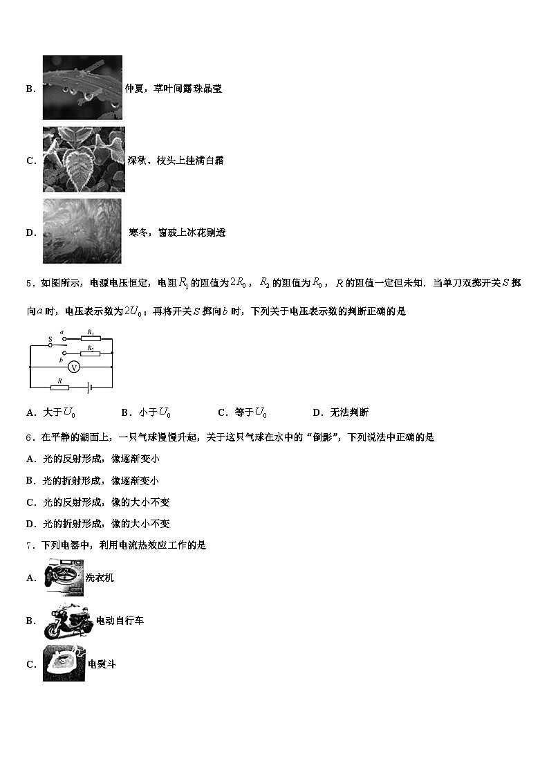 四平市2025-2026学年中考一模物理试题（含答案解析）第2页