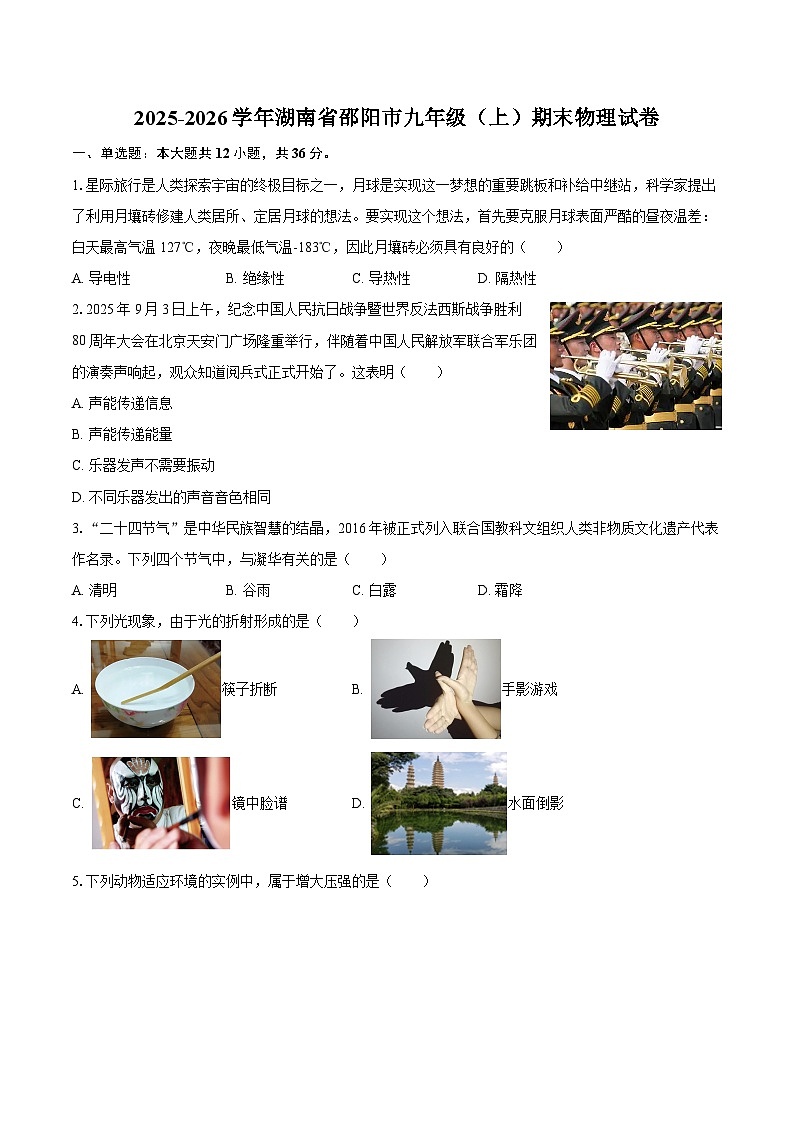 2025-2026学年湖南省邵阳市九年级（上）期末物理试卷-自定义类型第1页