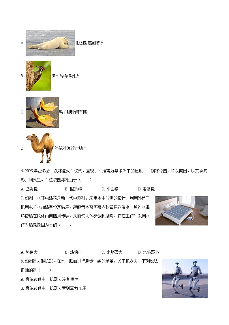 2025-2026学年湖南省邵阳市九年级（上）期末物理试卷-自定义类型第2页