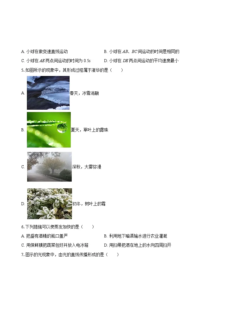 2025-2026学年河北省承德市兴隆县八年级（上）期末物理试卷-自定义类型第2页