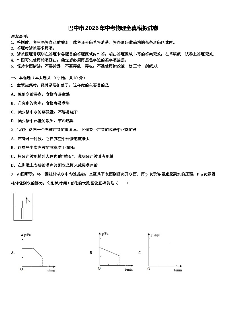 巴中市2026年中考物理全真模拟试卷（含答案解析）第1页