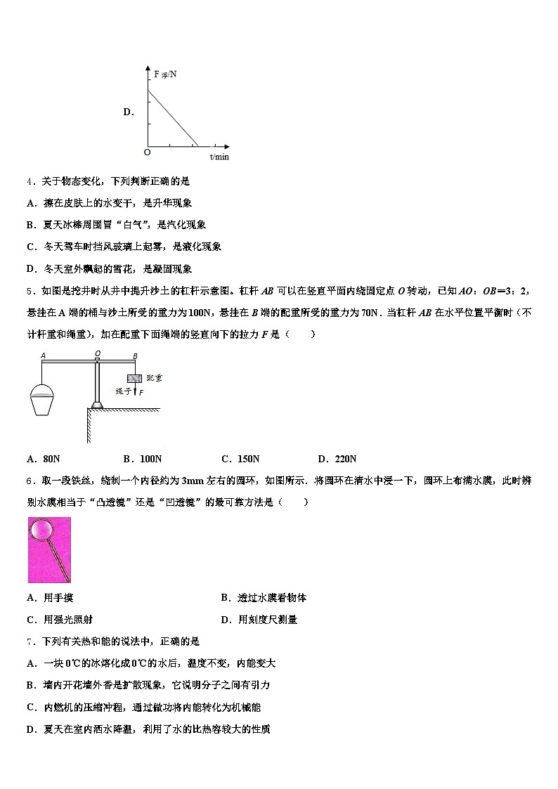 巴中市2026年中考物理全真模拟试卷（含答案解析）第2页