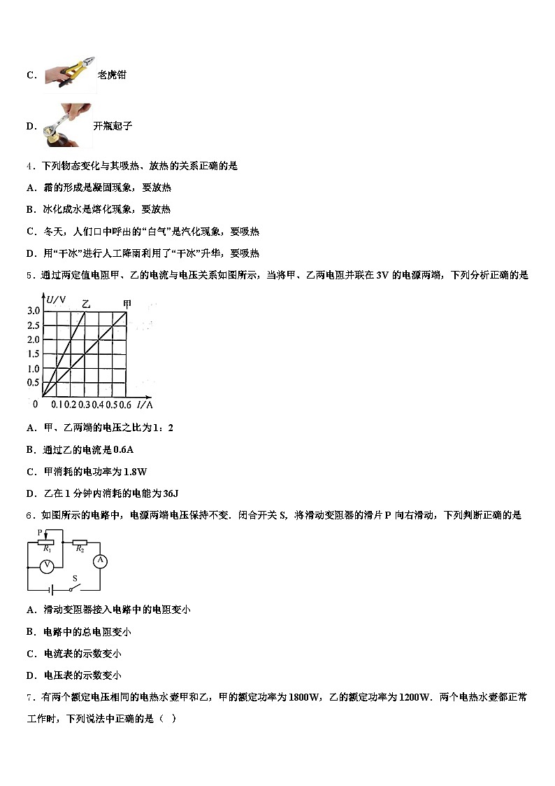 2025-2026学年广东省湛江市中考物理猜题卷（含答案解析）第2页