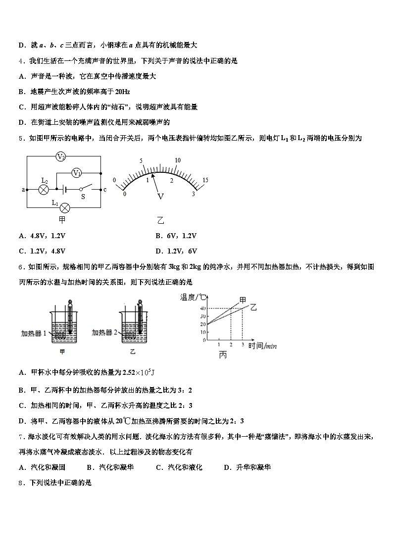 2026年扬州市中考适应性考试物理试题（含答案解析）第2页