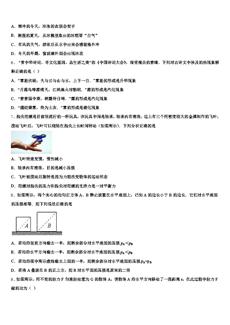 山东省日照市2025-2026学年中考物理仿真试卷（含答案解析）第2页