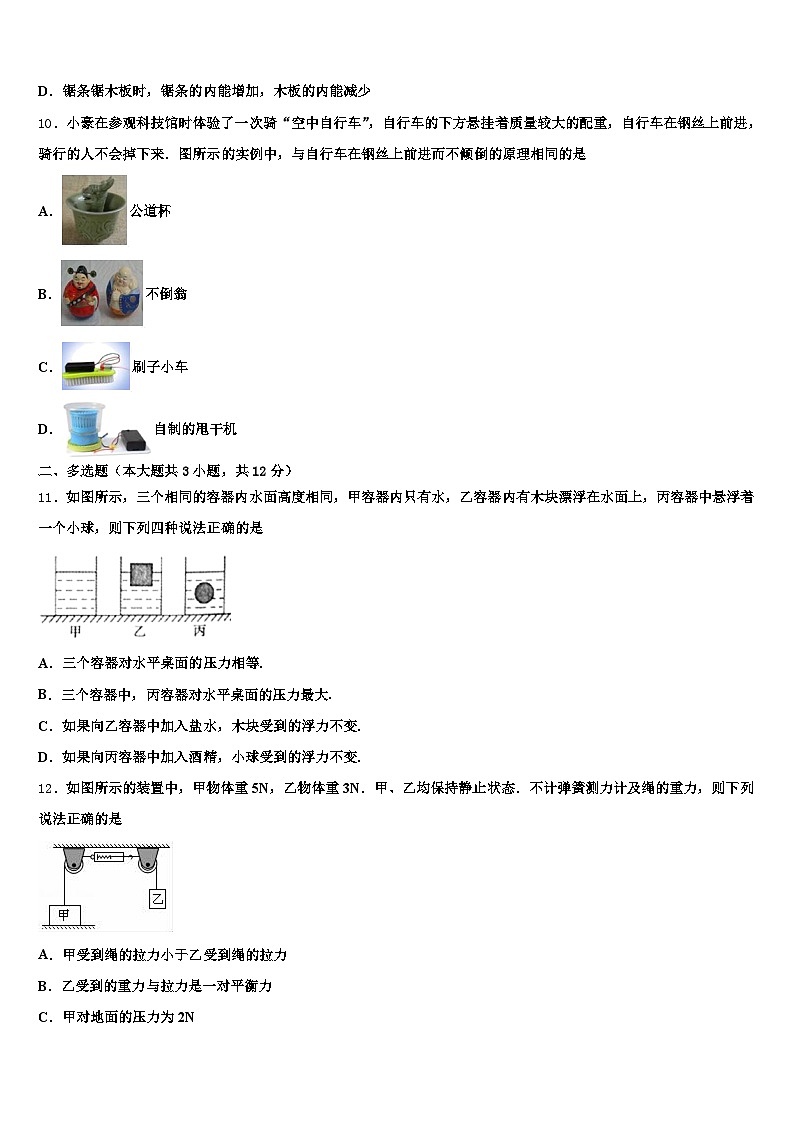 江苏省2025-2026学年中考联考物理试题（含答案解析）第3页