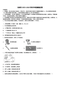 沧州市2025-2026学年中考物理模试卷（含答案解析）