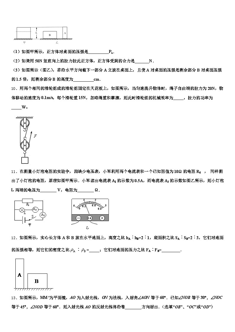 沧州市2025-2026学年中考物理模试卷（含答案解析）第3页