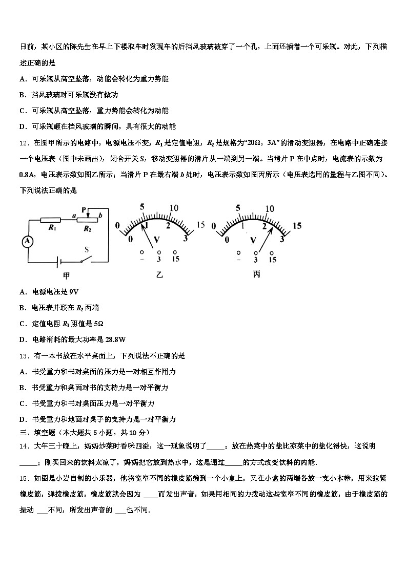 张家界市2025-2026学年中考四模物理试题（含答案解析）第3页