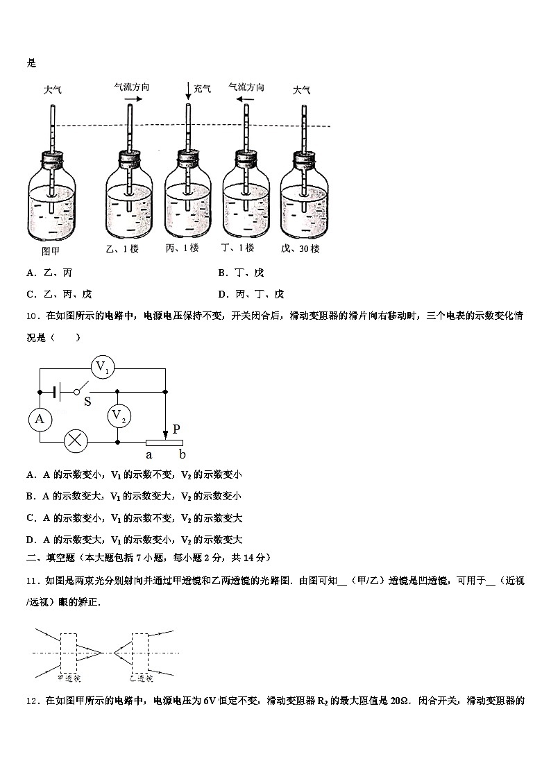 2025-2026学年吉林省通化市中考冲刺卷物理试题（含答案解析）第3页