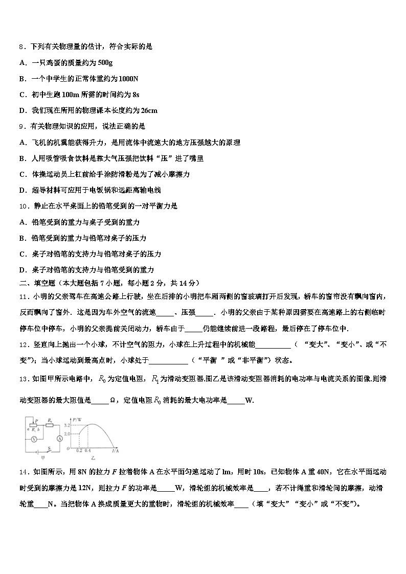 2025-2026学年丹东市中考物理模拟预测题（含答案解析）第3页