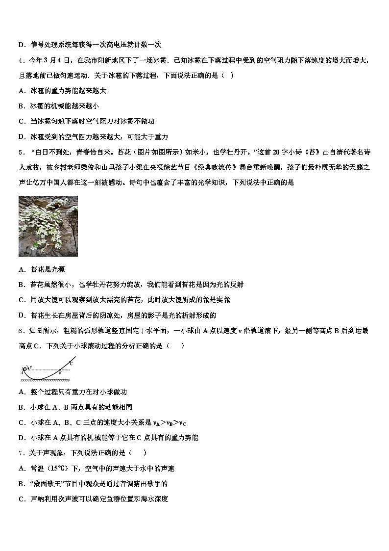 2026年咸宁市中考联考物理试题（含答案解析）第2页