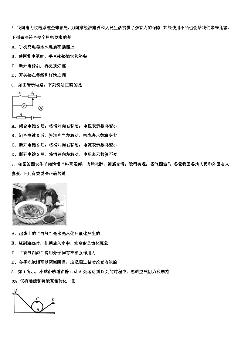 2026年山东省淄博市中考物理押题卷（含答案解析）第2页