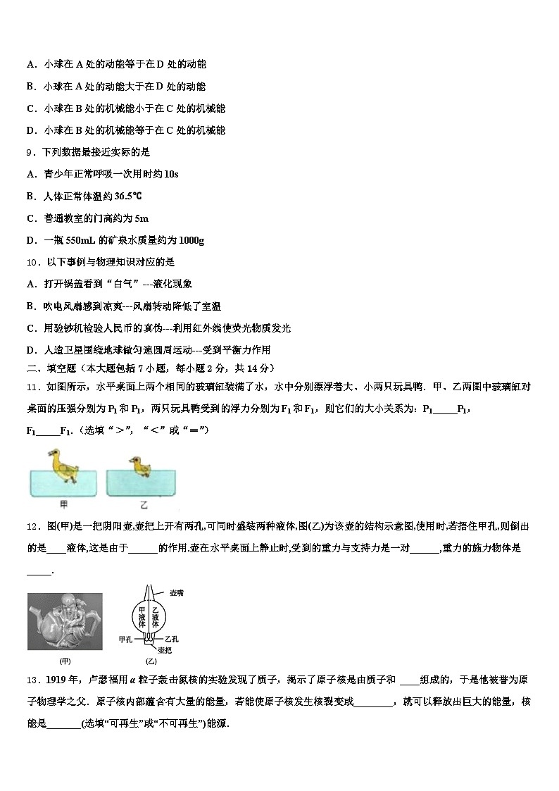 2026年山东省淄博市中考物理押题卷（含答案解析）第3页