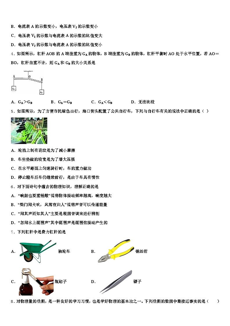 新疆维吾尔自治区博尔塔拉蒙古自治州2026年中考物理全真模拟试题（含答案解析）第2页