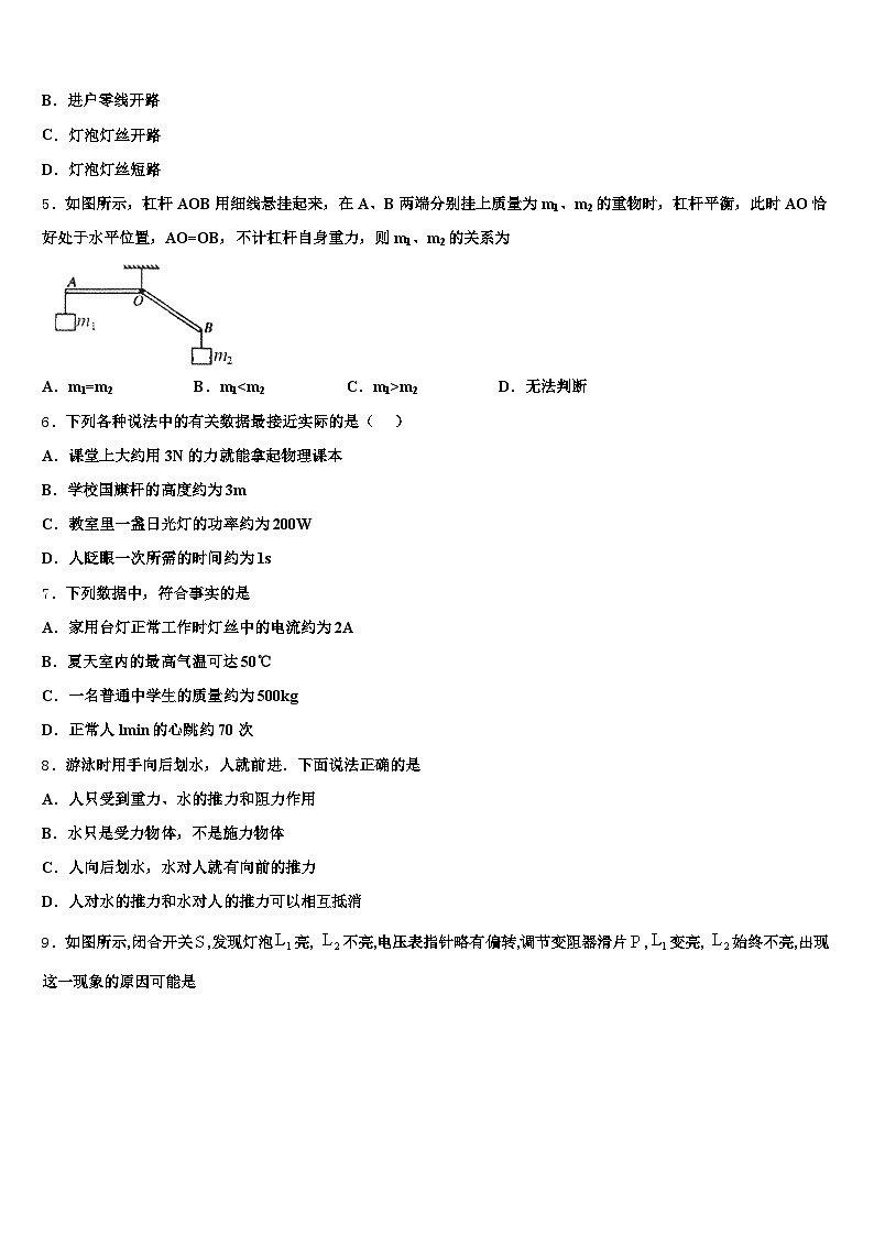 2025-2026学年安徽省阜阳市中考押题物理预测卷（含答案解析）第2页