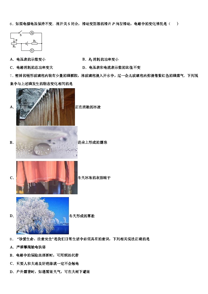 2026年永州市中考物理猜题卷（含答案解析）第2页