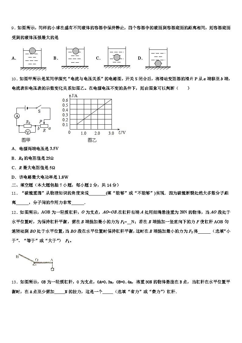 2026年永州市中考物理猜题卷（含答案解析）第3页