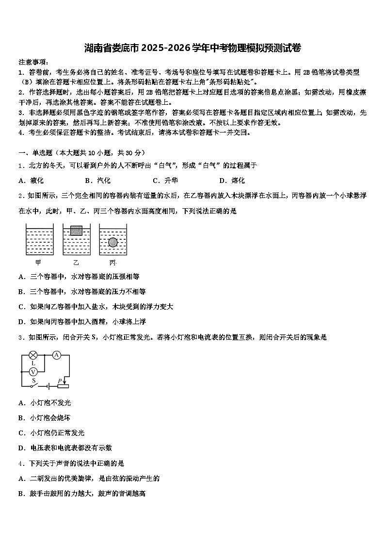 湖南省娄底市2025-2026学年中考物理模拟预测试卷（含答案解析）第1页