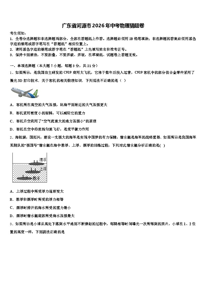 广东省河源市2026年中考物理猜题卷（含答案解析）第1页