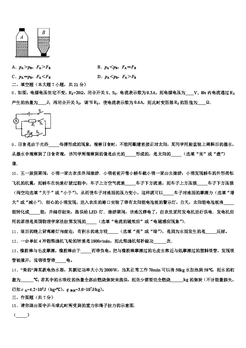 广东省河源市2026年中考物理猜题卷（含答案解析）第3页
