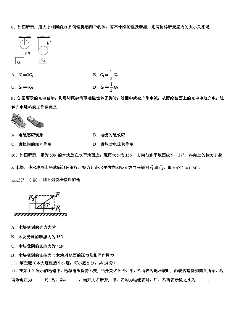 2025-2026学年邯郸市中考物理考前最后一卷（含答案解析）第3页