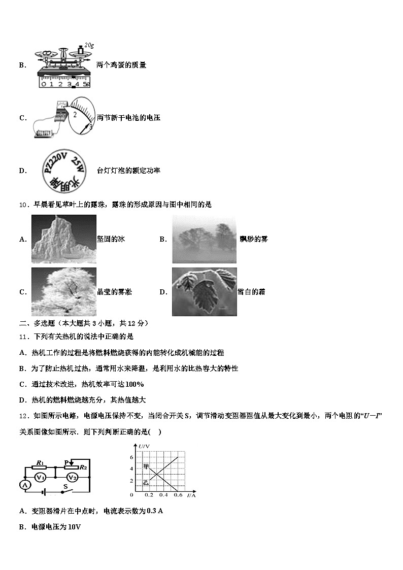 2026年张家界市中考一模物理试题（含答案解析）第3页